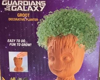 Chia Pet
