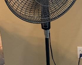 Lasko Fans Assorted Sizes 