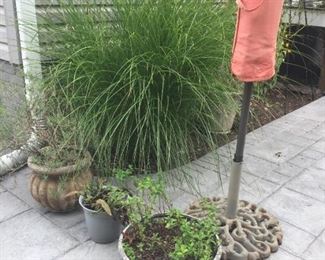 Plants and patio umbrella.