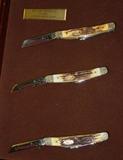 3 piece Case XX Congress Set in Display Case
