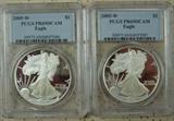 PCGS Graded Silver Eagles