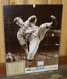 Autographed Bob Feller Picture