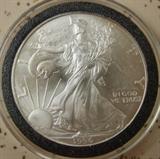 Key Date 1996 Silver Eagle Dollar