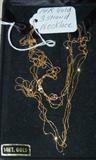 14K Gold 3 Strand Necklace