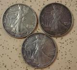Silver Eagle Dollars