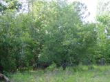Fruit Trees on Property.
Apple - Peach - Plum & Pear