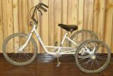 3 Wheel Bicycle