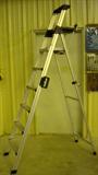 8' Aluminum Ladders