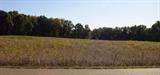 Open Land with Trees