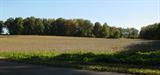 Build Your Dream Home or Sub-Divide and Sell Off Tracts