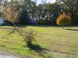 Lots of Trees