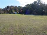 Large Front Yard