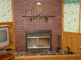 Fireplace in Den