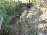 Creek Under Bridge