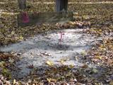 Lighted Horseshoe Pit