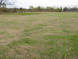 11.76 +/- Acres in Tipton County