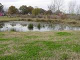 Spring Fed Pond