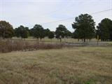 Hwy 59 Covington, Tennessee