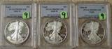 PCGS Graded Silver Eagles