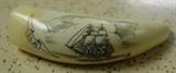 Genuine Scrimshaw Killer Whale Tooth