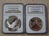 NGC Graded Silver Dollars