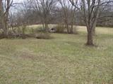 3.86 +/- Acres