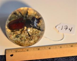 Beatle Paperweight