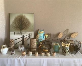 For The Love of Owls
