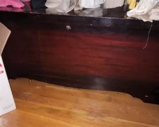 Cedar trunk