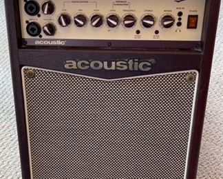 Acoustic A20 Guitar Instrument Amp Amplifier