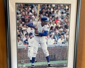 Ernie Banks Chicago Cubs Signed 16x20 Photo Autograph w/ COA Frame; 26 1/4 x 22. HxWxD
