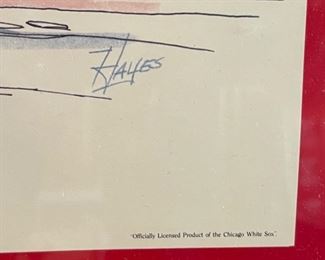 75th Anniversary Comiskey Park White Sox Framed Print Framed; 18.5 x 24.5 HxWxD