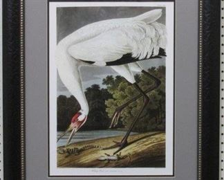 9001 - Hooping Crane Adult by John J. Audubon 24 x 30