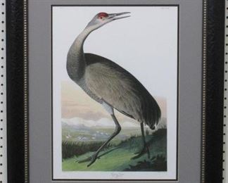 9002 - Hooping Crane Young by John J. Audubon 24 x 30