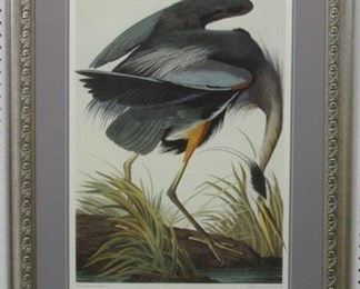 9003 - Great Blue Heron by John J. Audubon 28 1/2 x 37