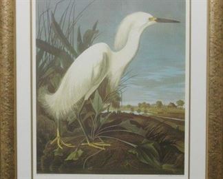 9004 - Snowy Heron by John J. Audubon 30 x 36
