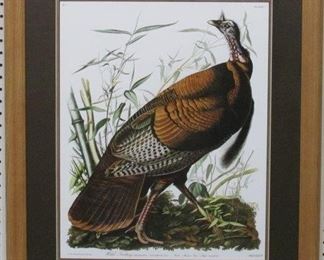 9005 - Wild Turkey by John J. Audubon