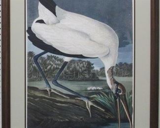 9007 - Wood Ibis by John J. Audubon 27 x 37
