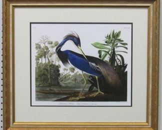 9008 - Louisiana Heron by John J. Audubon 28 x 23