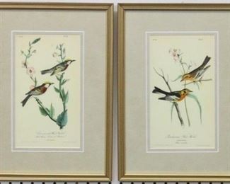 9009 - Set of 2 Antique Birds by John J. Audubon 11 1/2 x 16