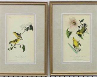 9010 - Set of 2 Antique Birds by John J. Audubon 11 1/2 x 16