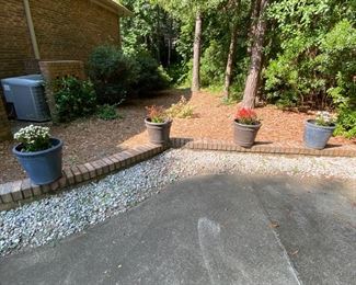 flowerpots with plants $25 each