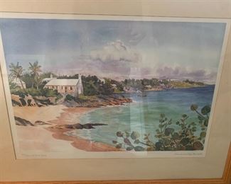 Bermuda print