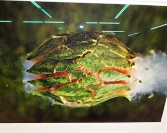 VIEW 2 CLOSEUP BY BRUCE DALE