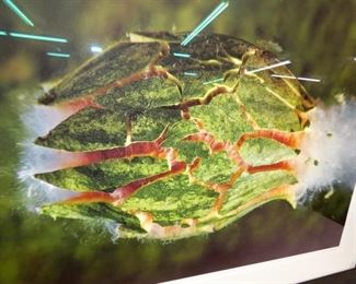 VIEW 3 34X24 UNUSUAL PICTURE