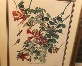 #161	Art	Ruby-Throated Hummingbird Picture in Gold Frame  31Wx38T	 $40.00 		
