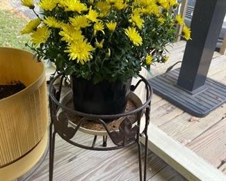 Mums for fall in wrought iron plant stand