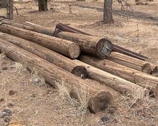 Long Telephone/Electrical Poles