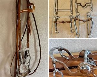 Misc. Bits/Headstall - Crocket 