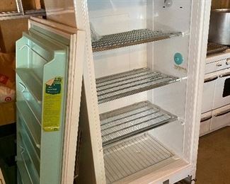 Upright deep freezer (door was removed to move to garage for easy loading)